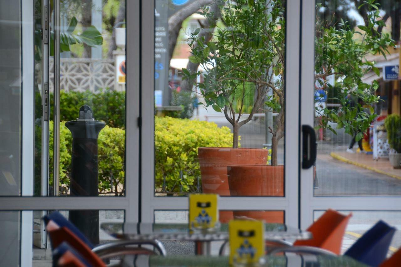 Hotel Stella Maris بلانيس المظهر الخارجي الصورة